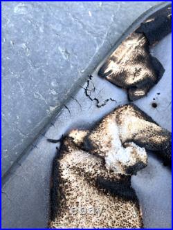 Marc Johnson Original Art Skateboard Deck Business Company MJ Bunny Mashup