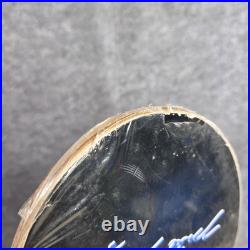 Mctwist Mike McGill Robot Hammerhead Shark Skateboard Some Plastic Distressed