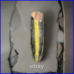 PREMIUM COLLECTOR LISTING EARLY 1970s SKATEBOARD (ORIGINAL TRUCK CO. HARDWARE)