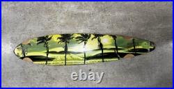 Rick Rietveld Pintail Longboard Old Stock Palm Girls Palisades HTF Mid 2000's
