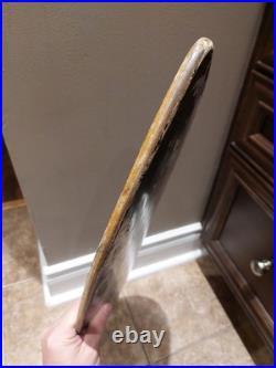 Tony Hawk Vintage Old School Birdhouse Deck