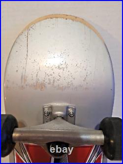 Vintage 2001 Tony Hawk Birdhouse Gray 31 Deck Skateboard PTERODACTYL
