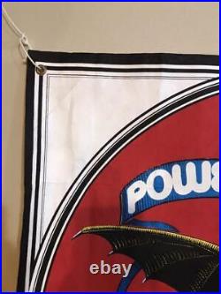 Vintage 80's Original Powell Dragon Banner Santa Cruz POWELL PERALTA Huge Poster