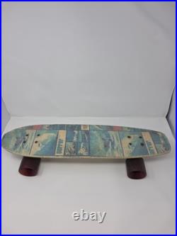 Vintage Continental Skateboard Surfer Magazine SPECIAL EDITION 1970s
