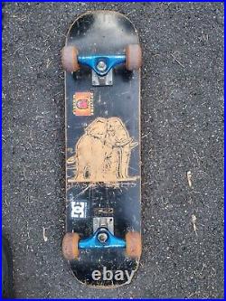 Vintage Powell Peralta Jason Ellis Elephant Skateboard