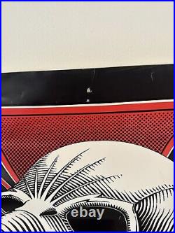 Vintage Tony Hawk Powell Peralta Skateboard Poster 23x17