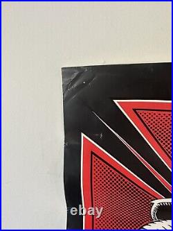 Vintage Tony Hawk Powell Peralta Skateboard Poster 23x17