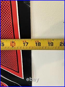 Vintage Tony Hawk Powell Peralta Skateboard Poster 23x17