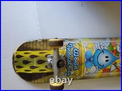 Vintage WORLD INDUSTRIES WET WILLY STAINED GLASS Used Skateboard Complete Board